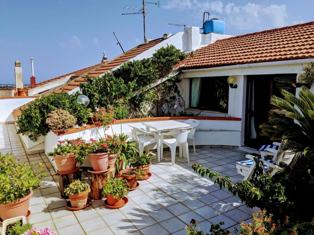 Il Nido Del Fenicottero Rosa 1