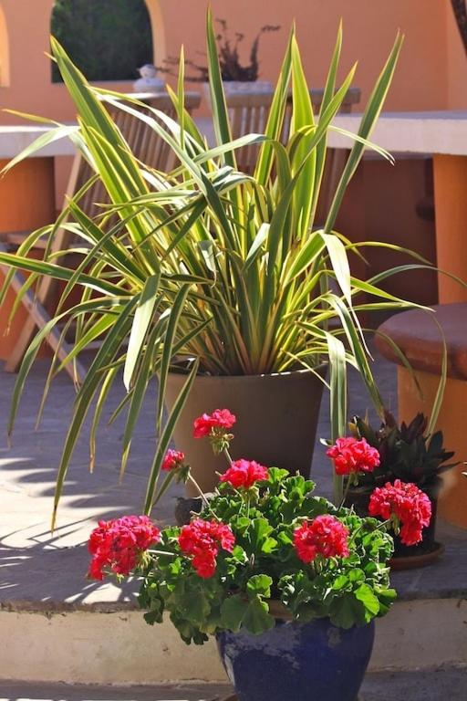 Romantica Casa Vacacional En Una Finca Tranquila 1