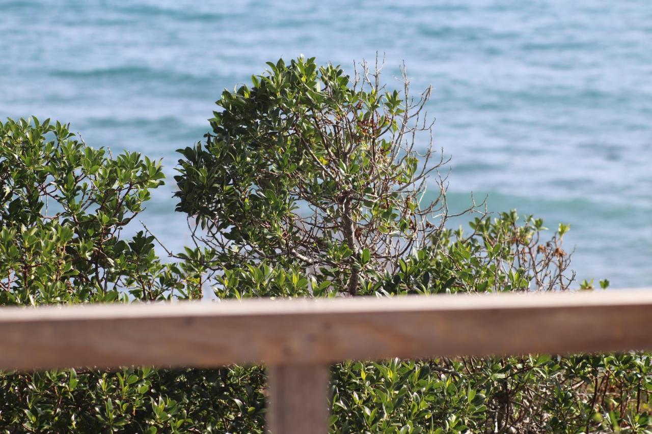 Summer Dream Cyprus 1