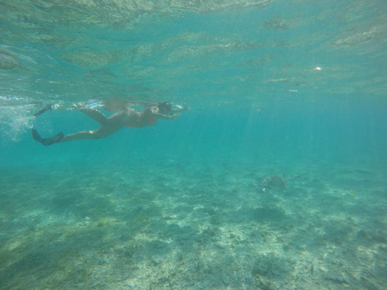 Gita Gili Bungalow 1