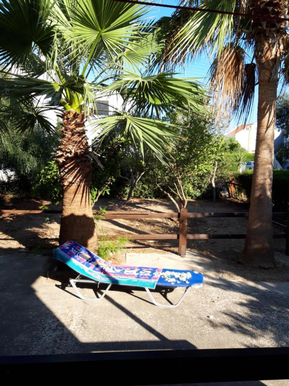 Palm Garden Paradise