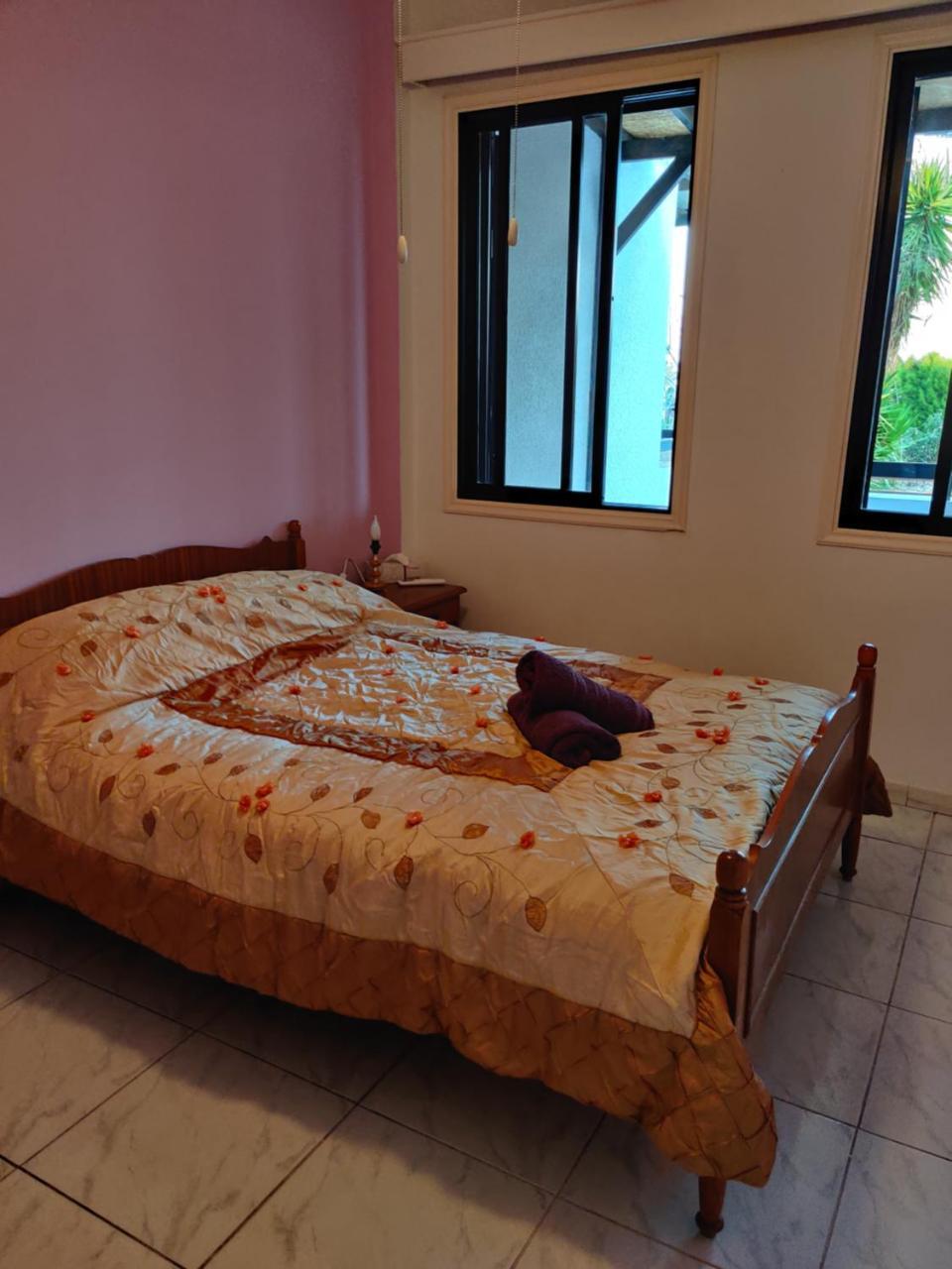 Palm Garden Paradise 2