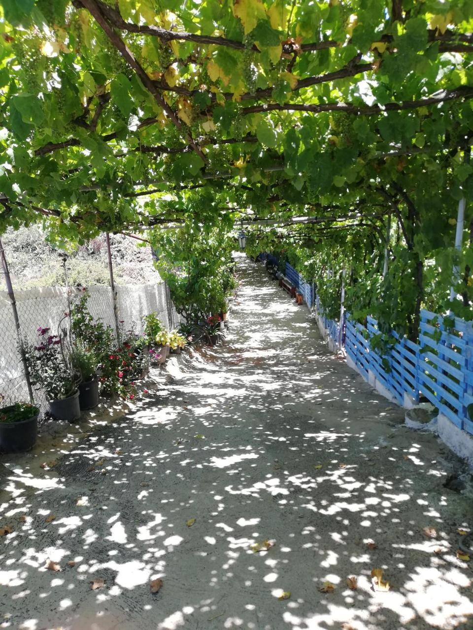 Casa Mari Carmen Y Jose 2