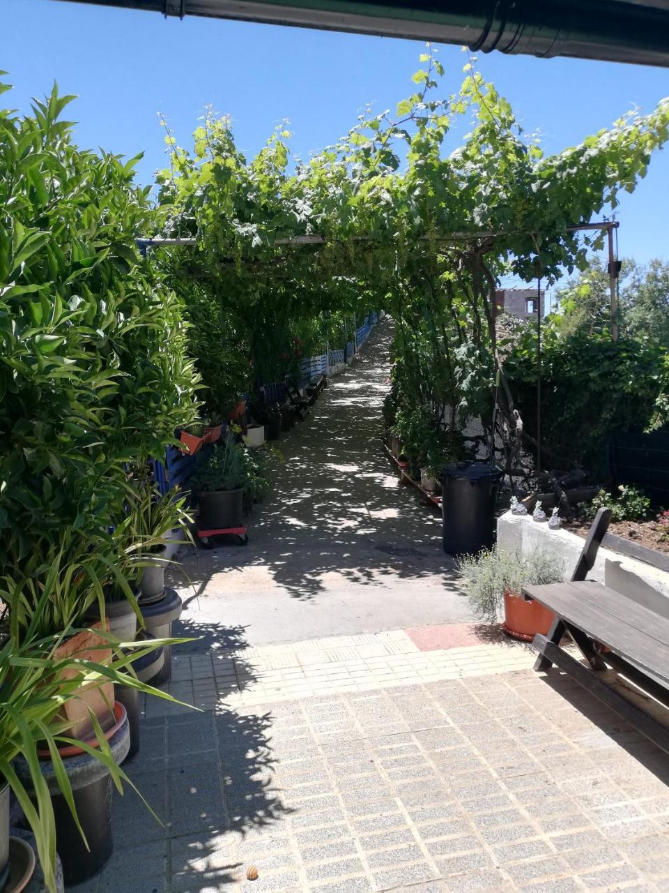 Casa Mari Carmen Y Jose