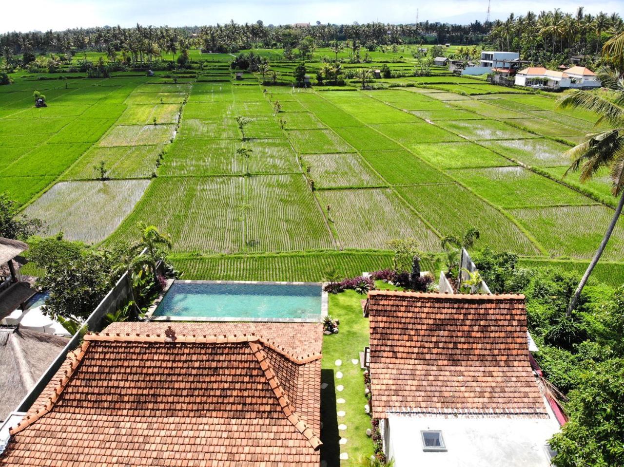 Villa O'hea Ubud 1