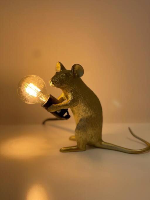 Designer 2 Bedroom Pimlico 1