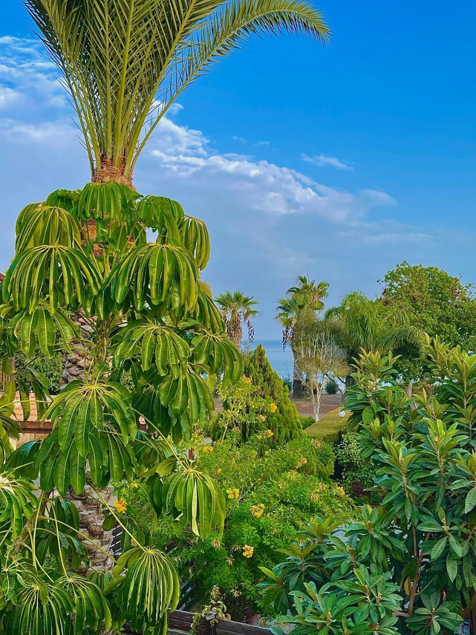 The Mediterranean Sea at Your Doorstep!!