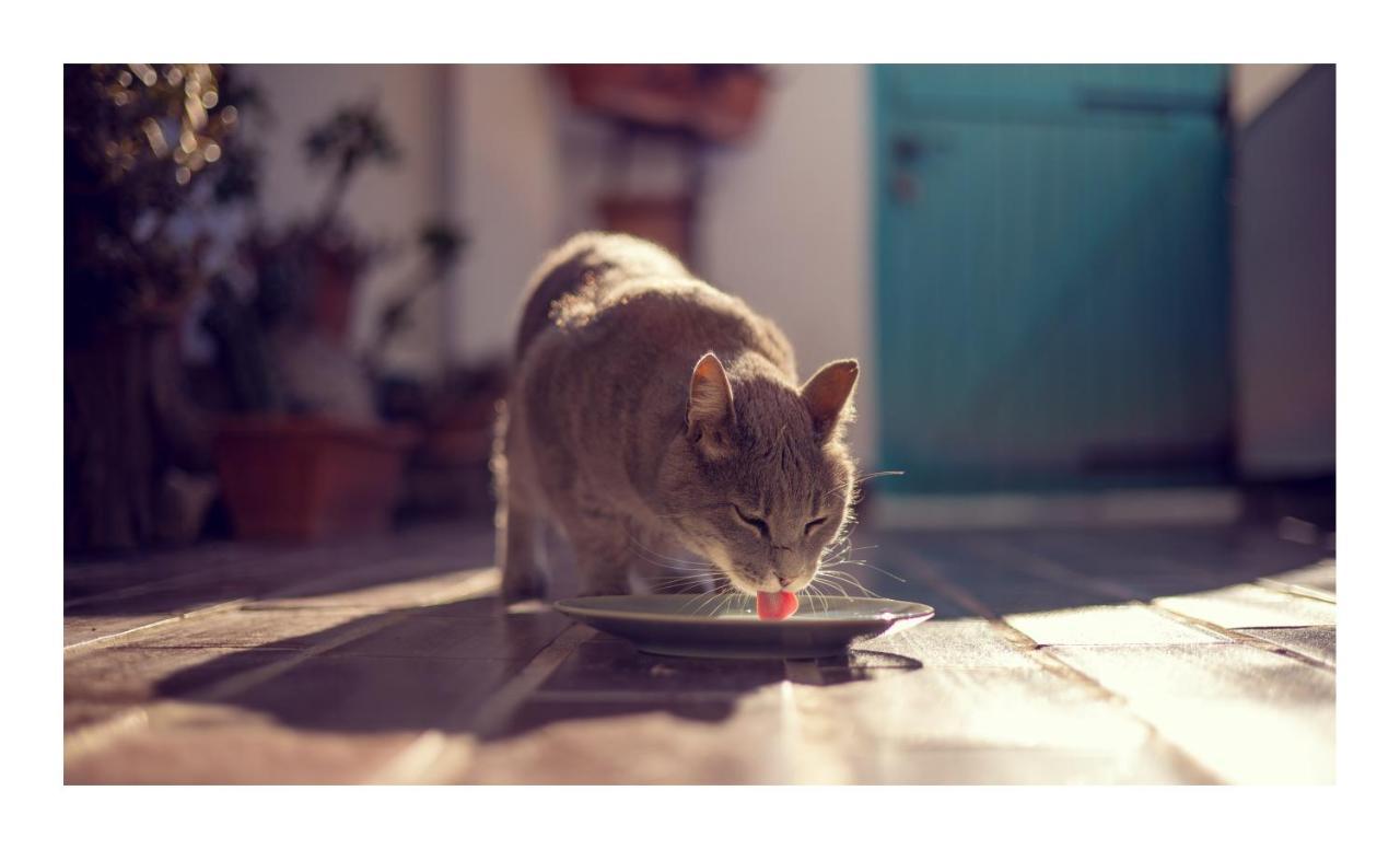 Condo with a Breathtaking View 2