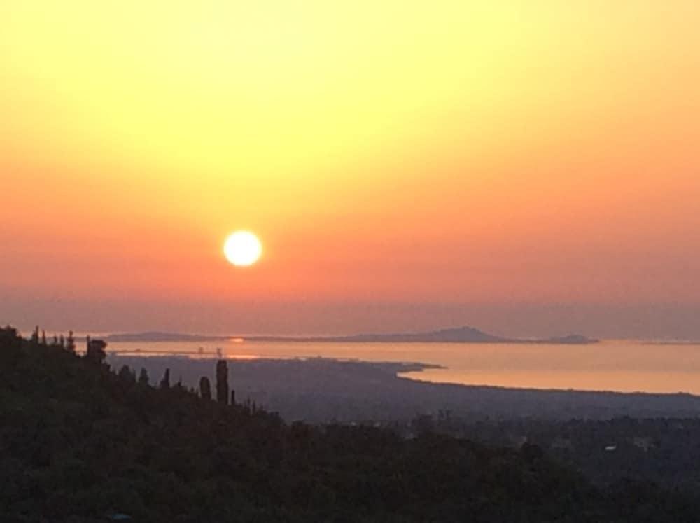 La Valle Dei Corbezzoli