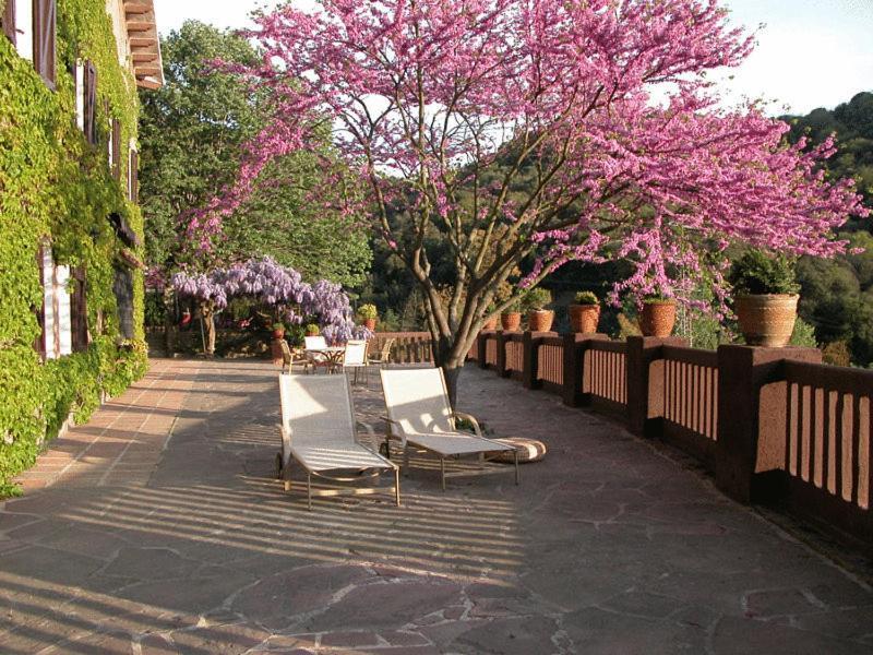 Masia Vista Hermosa 2