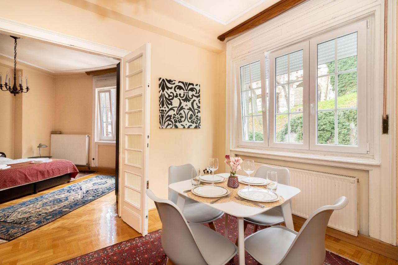 Buda Castle Serpentine Apartments 1