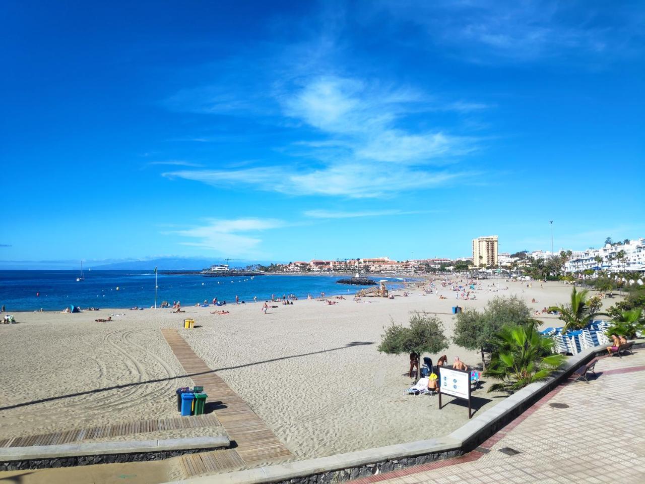 Cozy & Beautiful 1-Bed Apartment