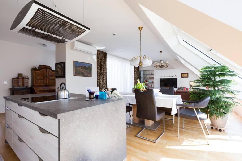 Großes Penthouse #12 Mit Terrasse Und Aussicht 2