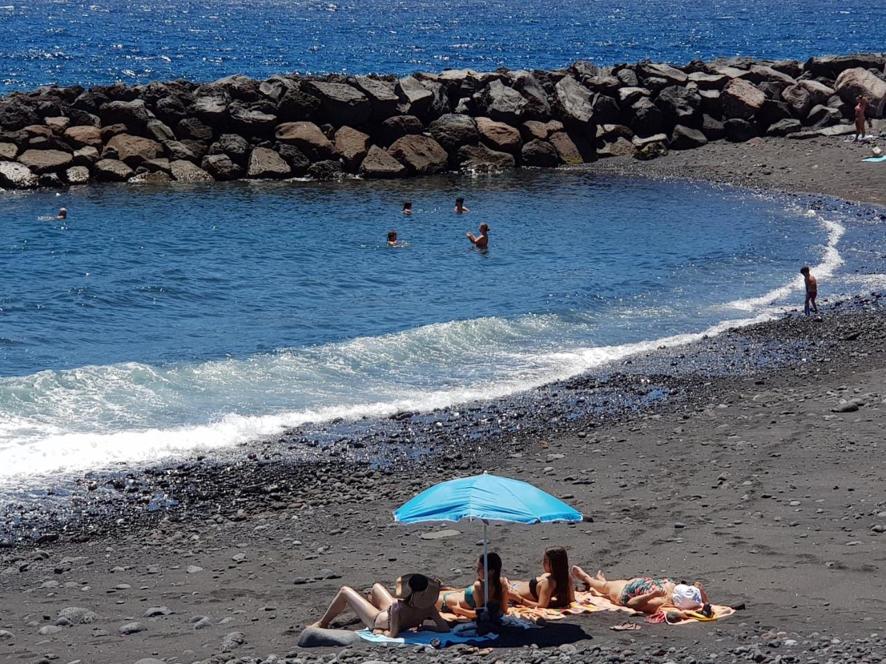 The Magic Dragonfly! (Adults only) 1