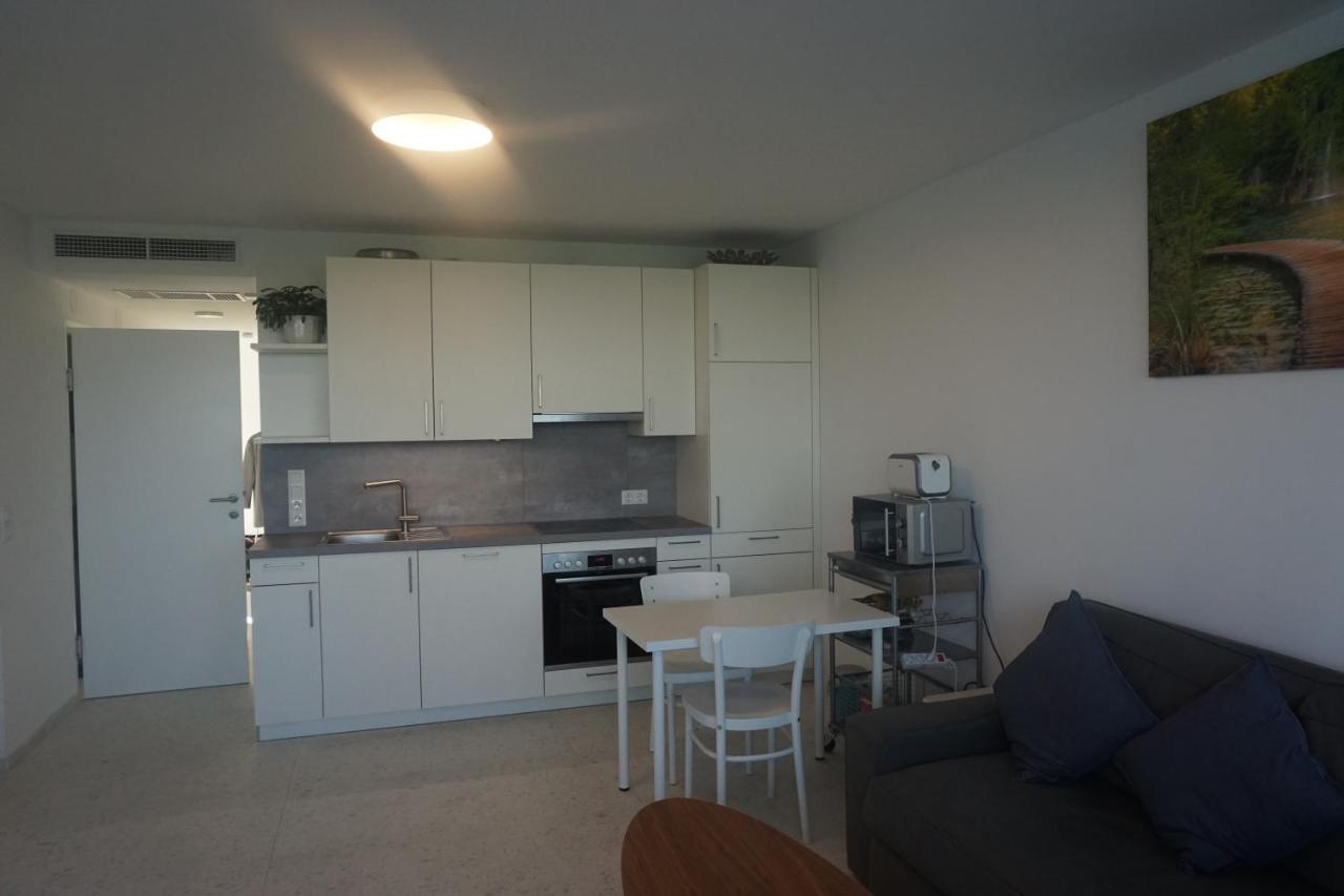 Augartenblick Penthaus 17 - Blick Zum Riesenrad