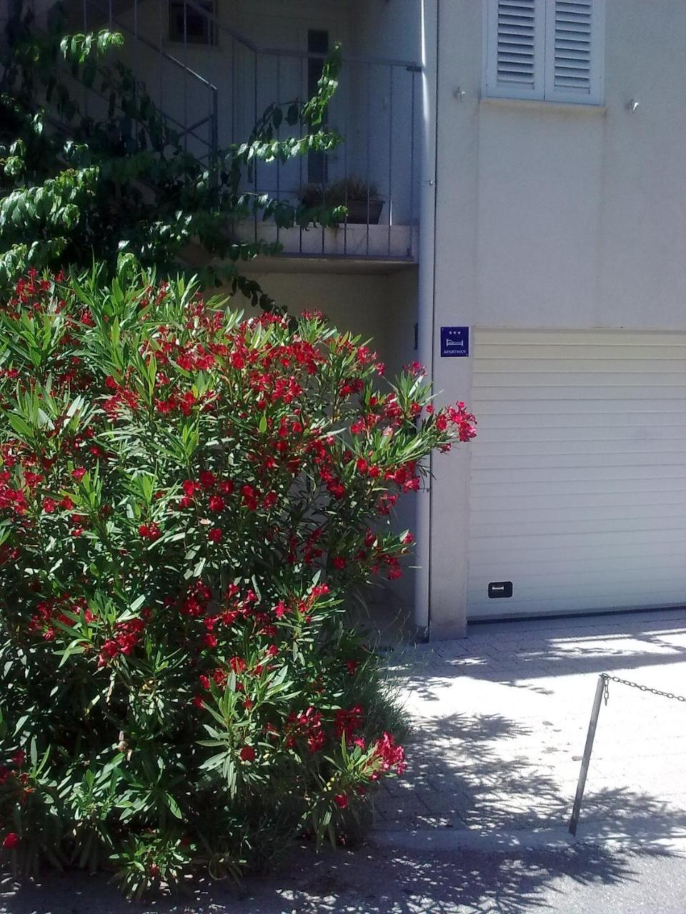 Apartment Pamic (Adults Only) 2