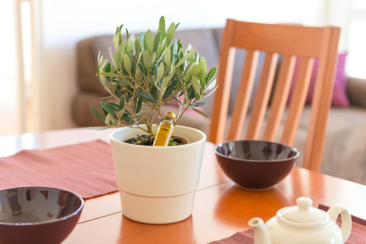 Family Apartment Bella 1