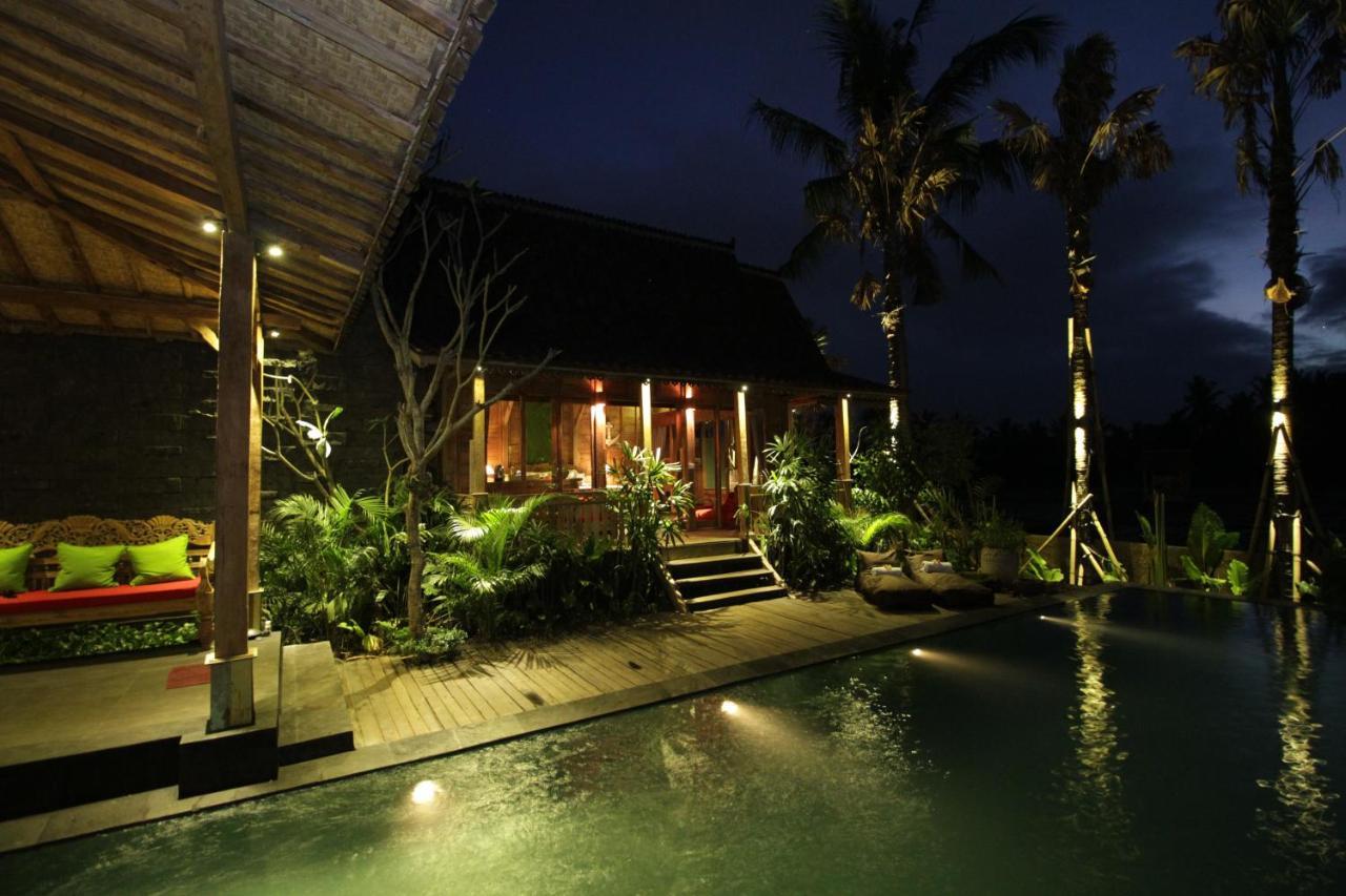 Ubud Virgin Villa 1