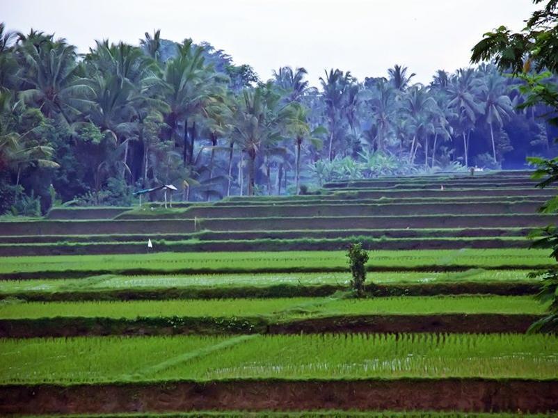 Villa Junjungan Resort Pool And SPA 2
