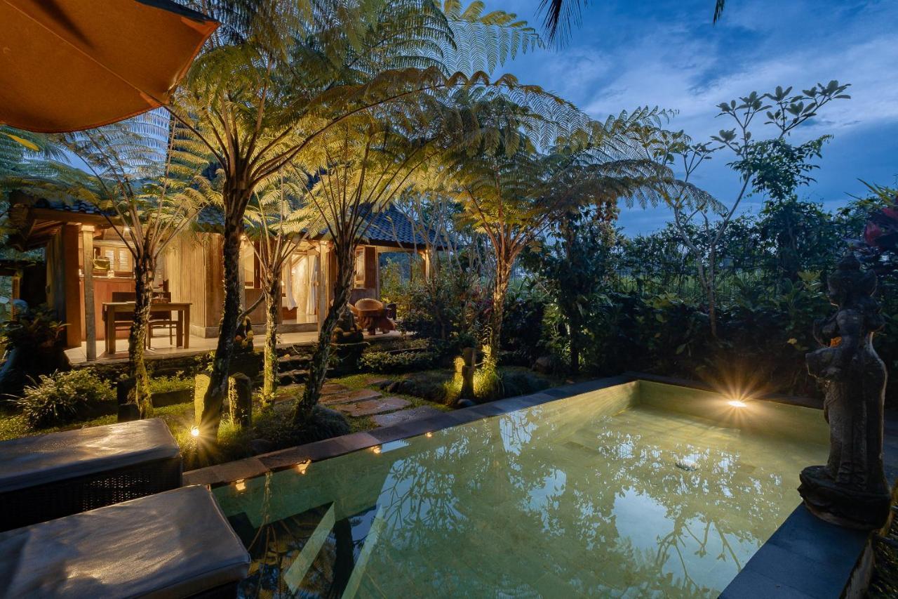 Moringa Ubud Villa 2