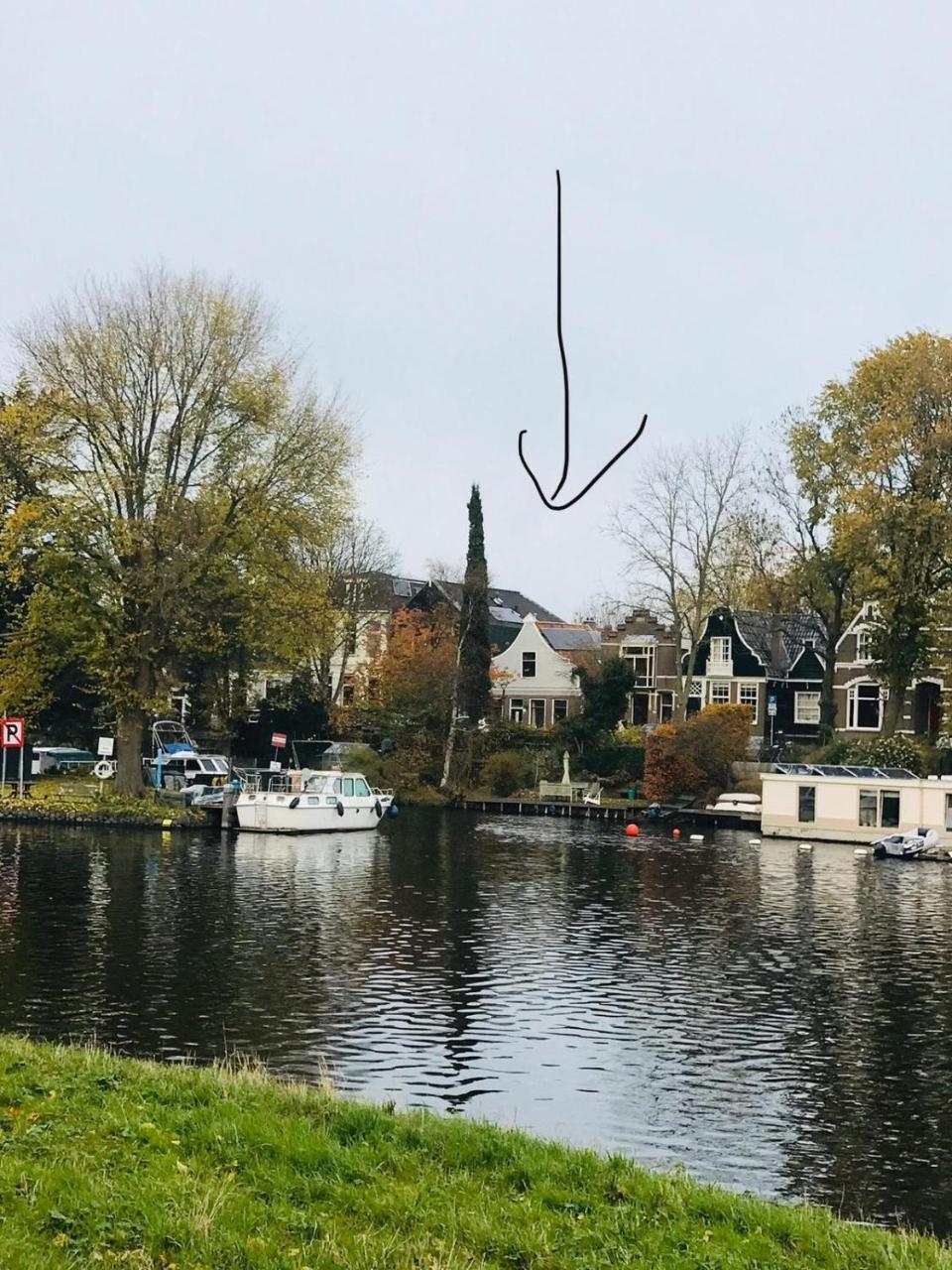 Klavergeluk (Adults Only) 2