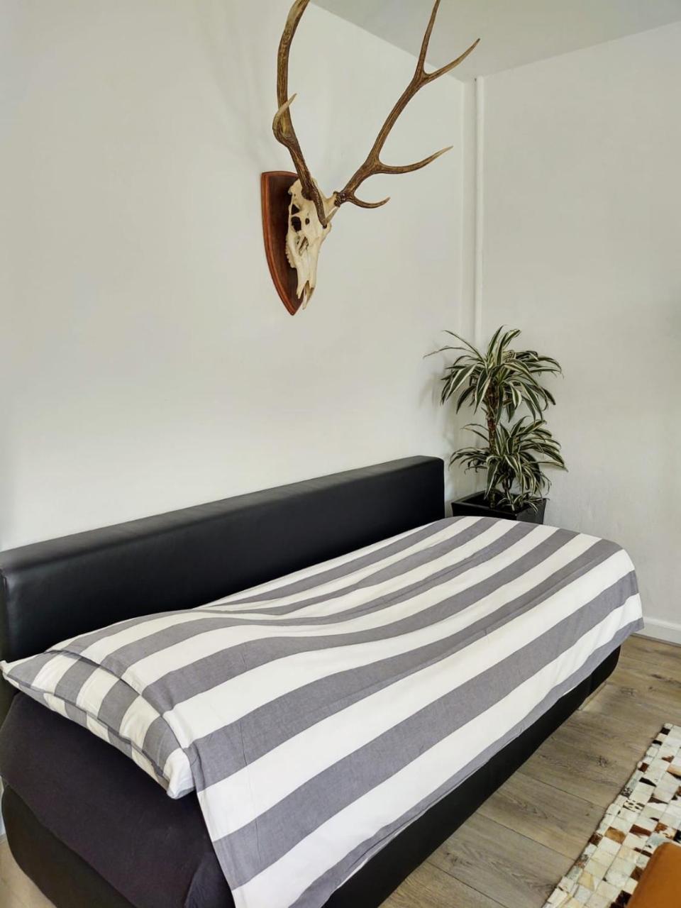 Jordaan Canal View Apartment 1