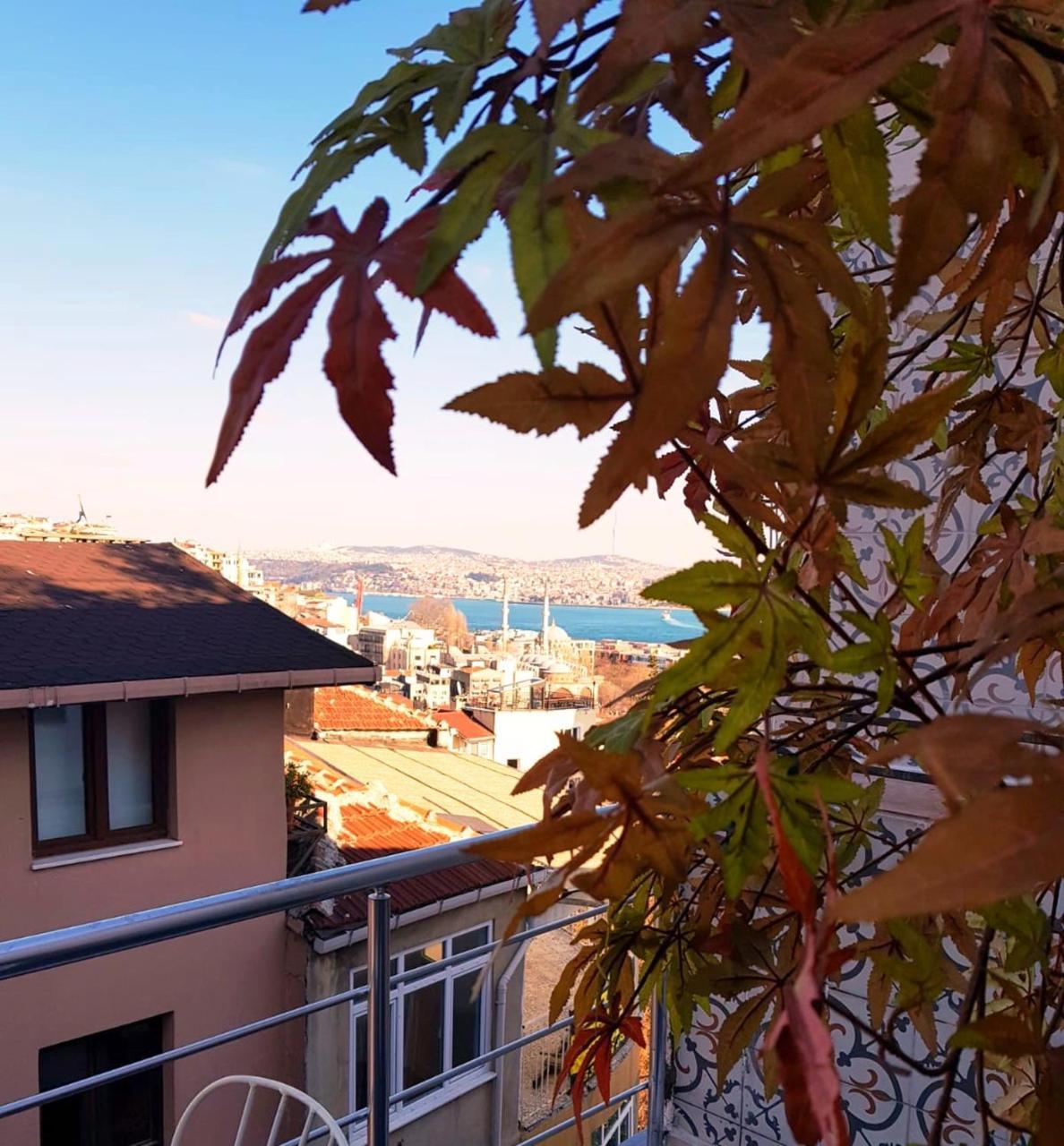 Ali Pasha Apartment 2