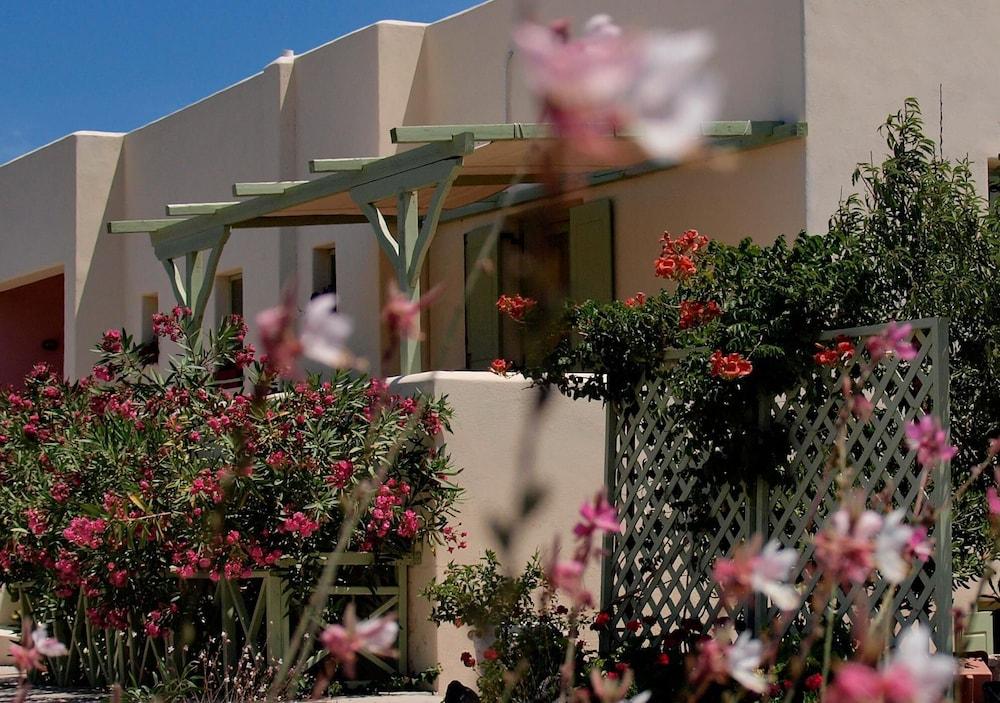 Flower And Crafts - Eco Farm Houses 2