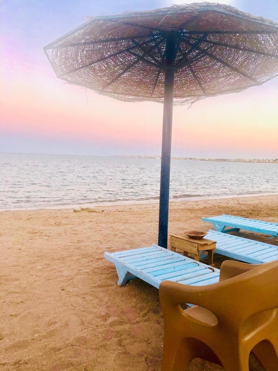 Cecelia Families Only 1