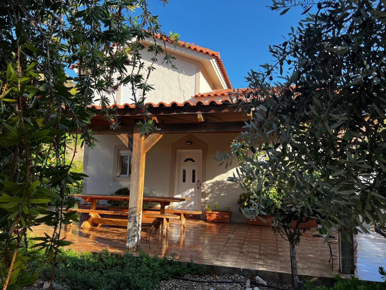 Valentina’S House 2