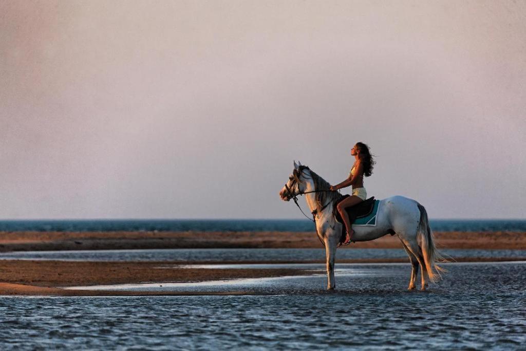 Babel Apartments El Gouna 2