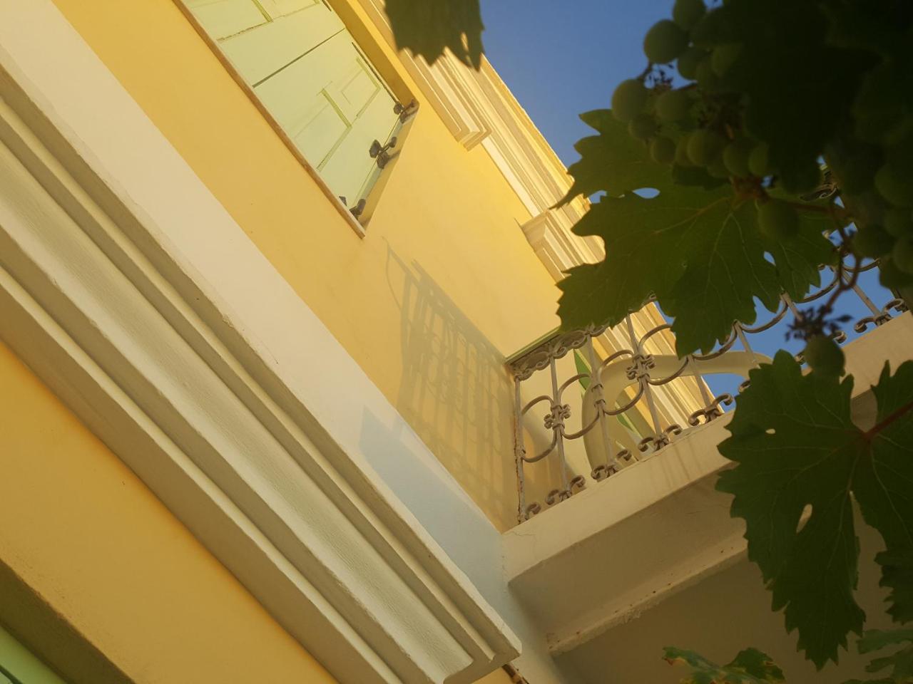 Pitini (Adults Only) 2