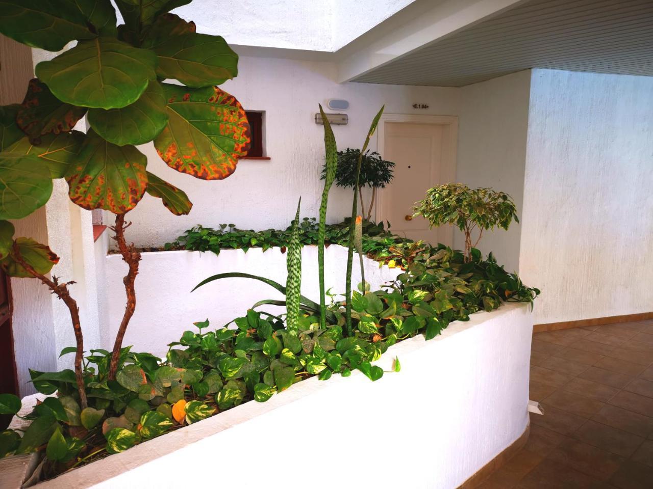 Beautiful Apartment 1