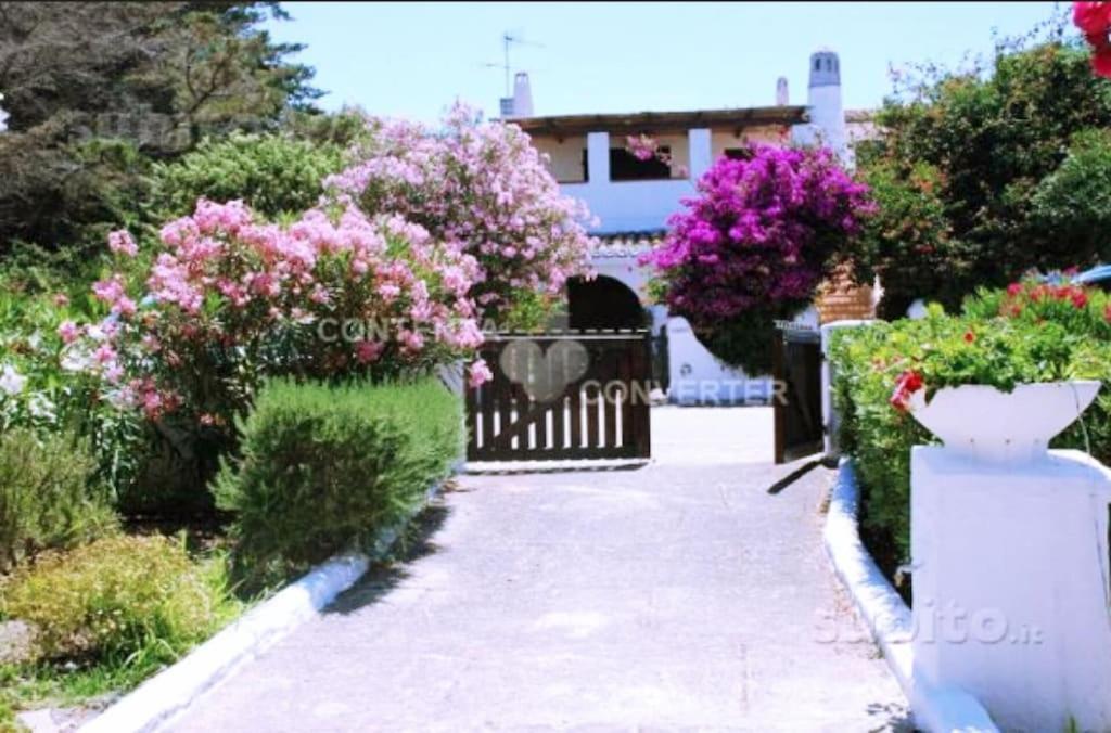 Villa Eden Beach Per 8 Persone a 50 Metri Dalla Spiaggia Con Giardino 1