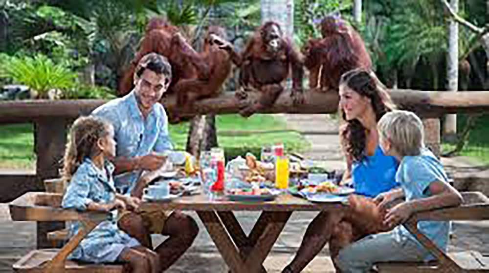 Santosha Villas & SPA