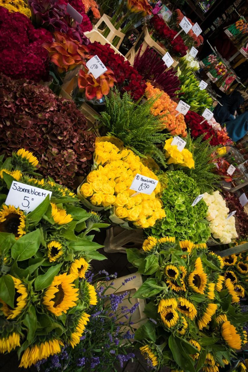 City Break Amsterdam Bnb 1