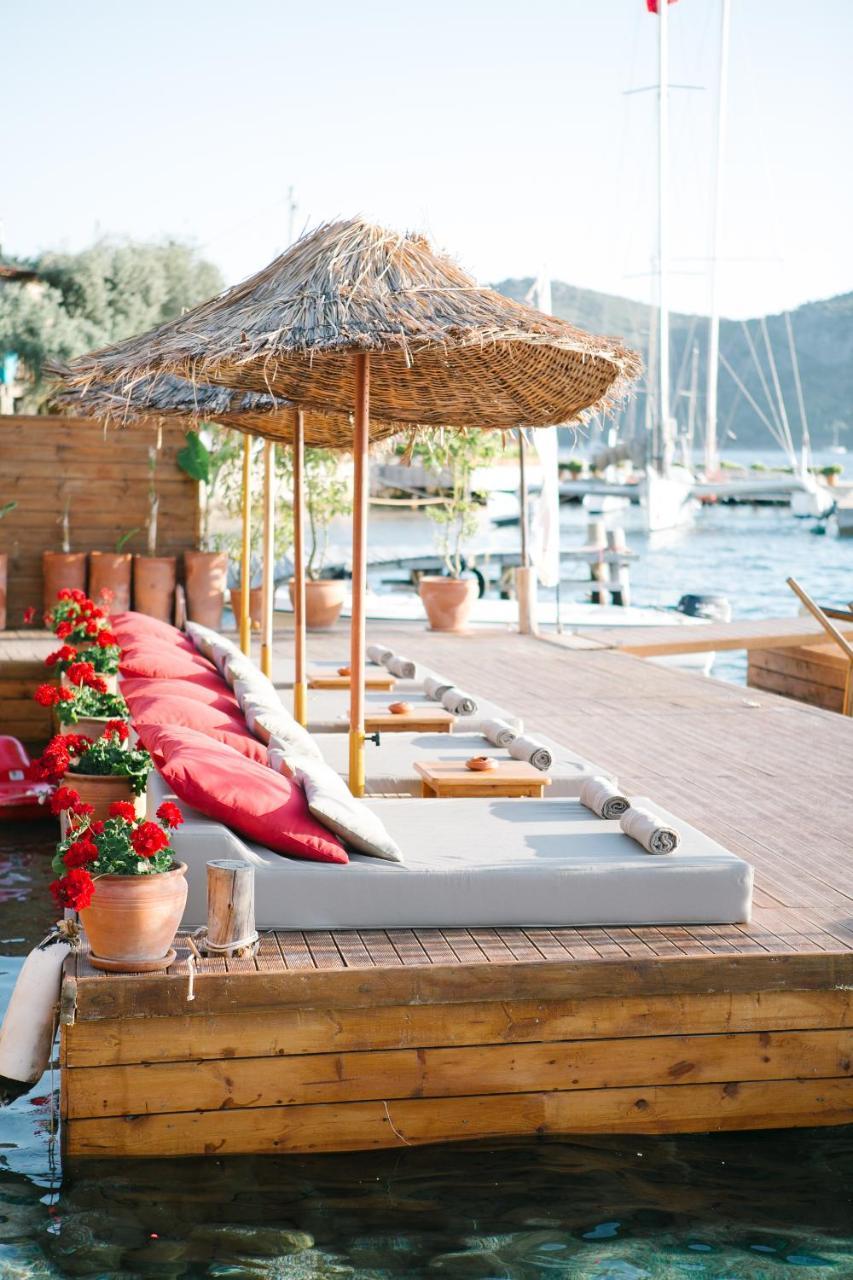 Karia Bel (Adults only) 2