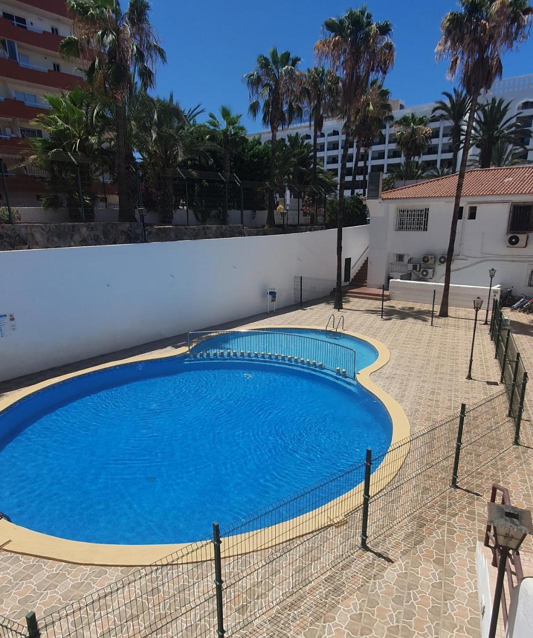 Dreaming las Americas 2