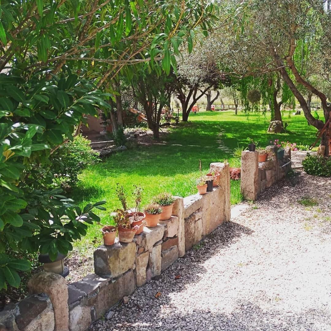 Residenza Uliveto Su Contu 2