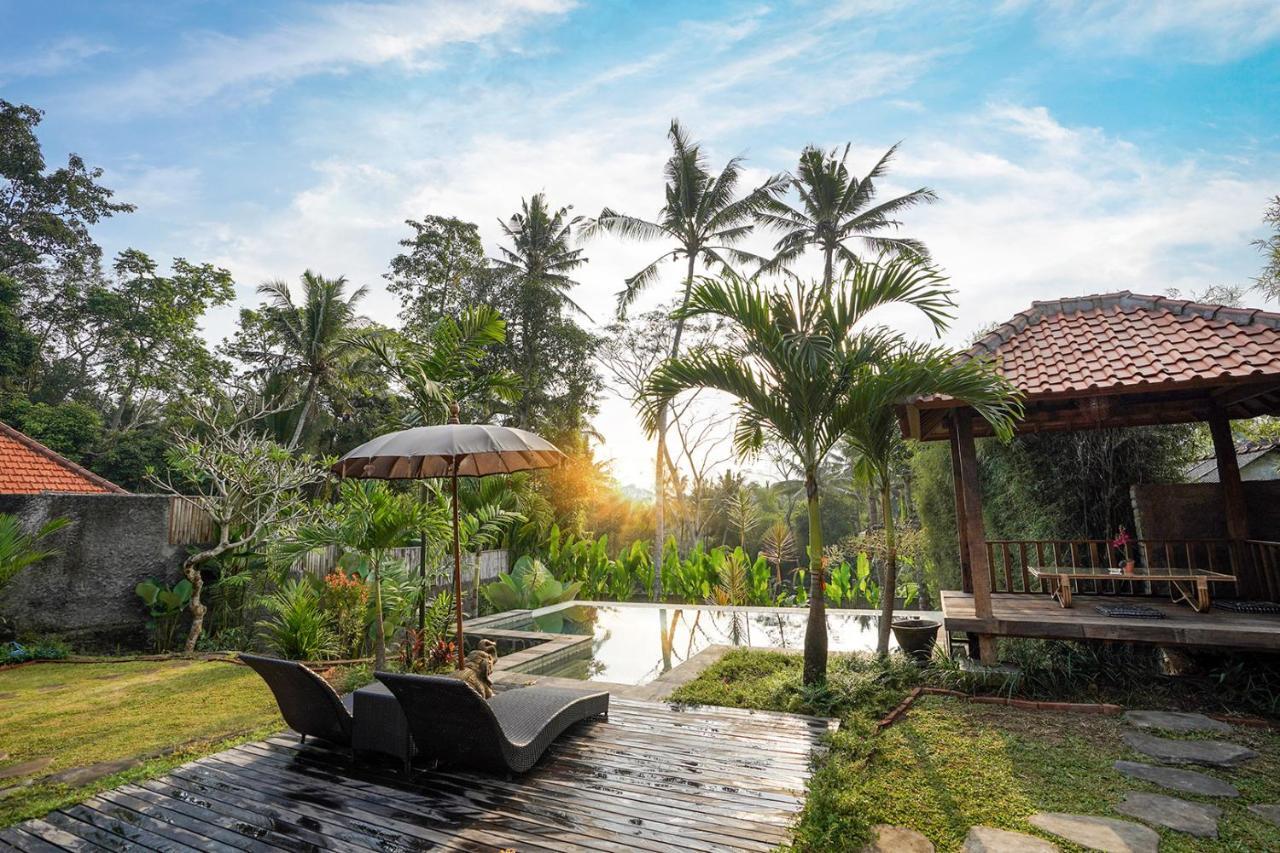 Sunny Sun Ubud Private Villa 1