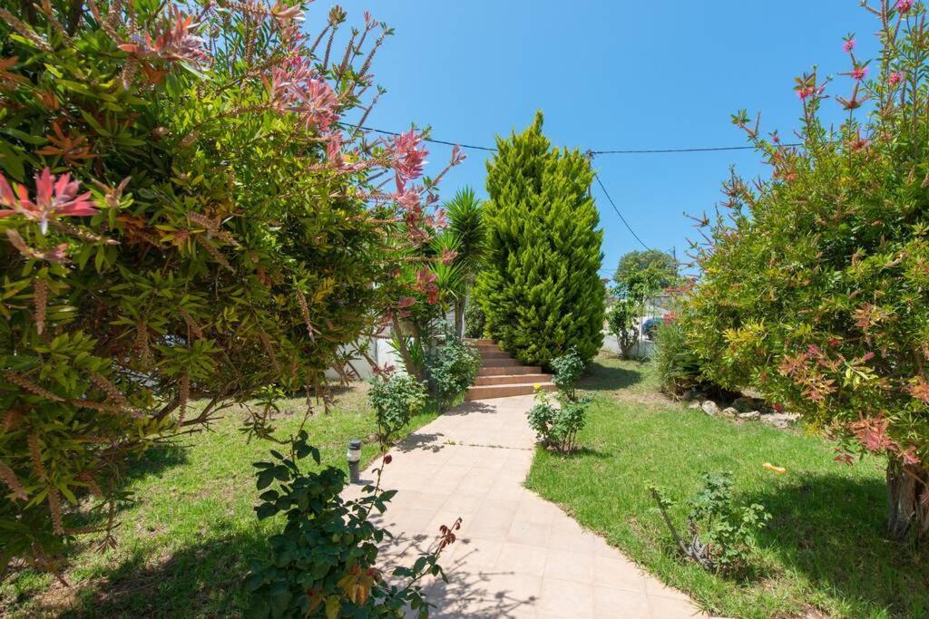 Villa Clio, Incredi..Blue View of Mediterranean 2