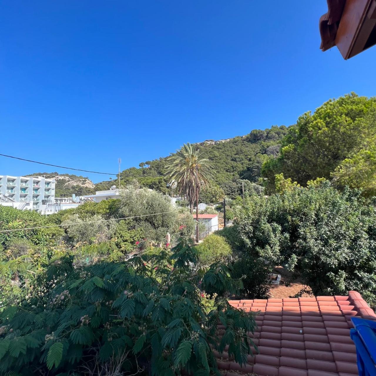 Reginas Apartments 1