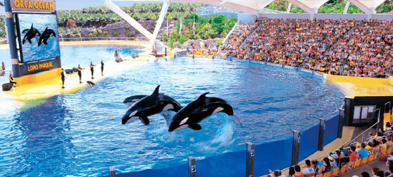 Bright And Quiet Apartment with Ocean View 2