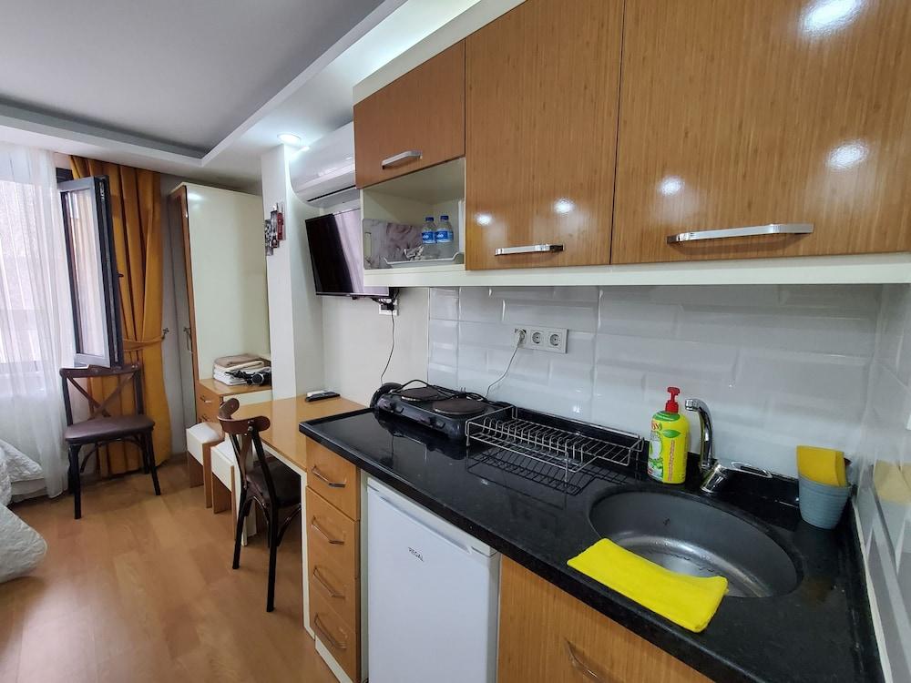 Maniz Studio Apart 1