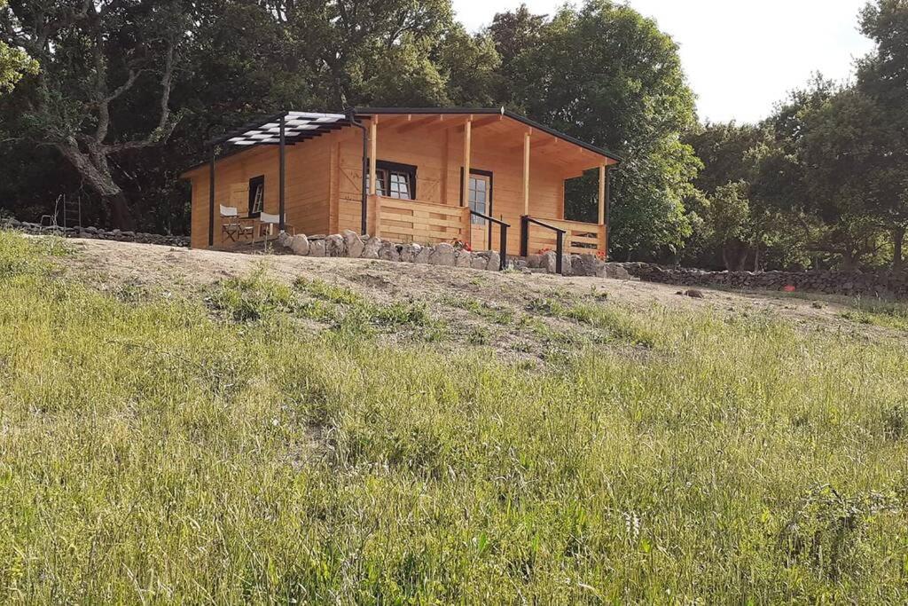 Eco Lodge Nella Natura Con Piscina Privata "La Grande Quercia" 1