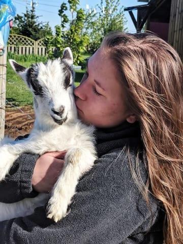 Skalatjorn Guesthouse 1