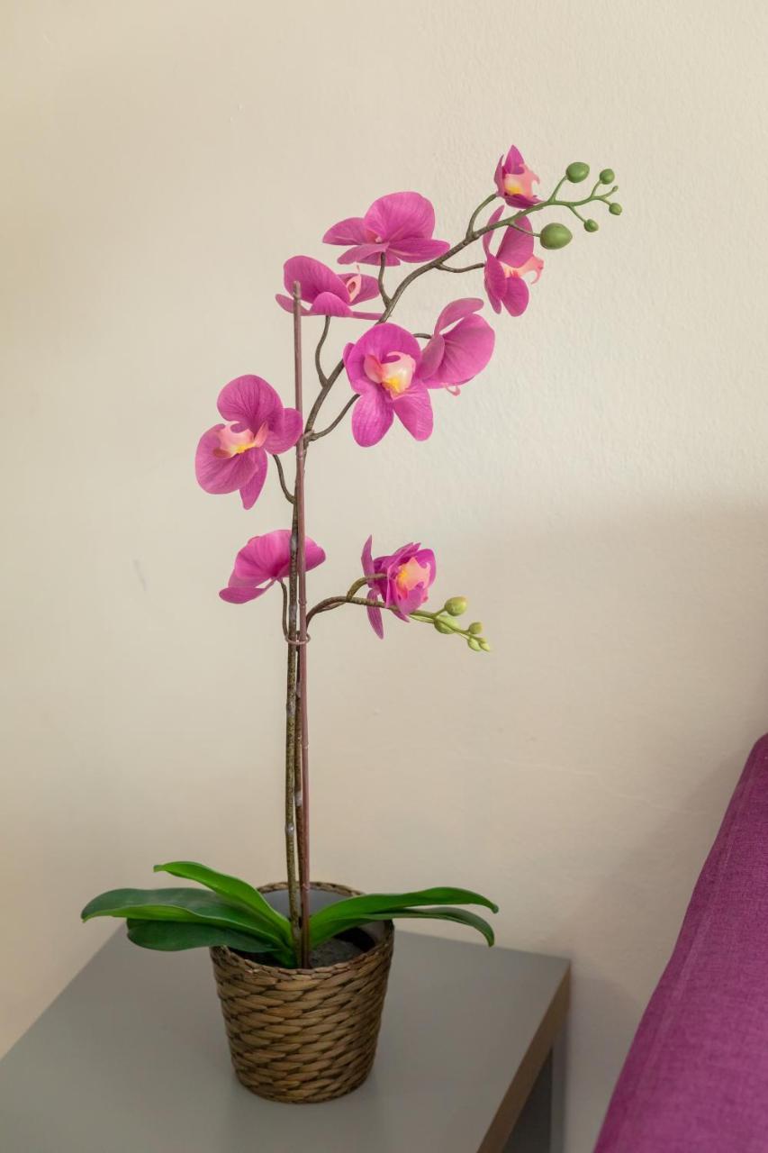 Andriana City Centre Flat 2