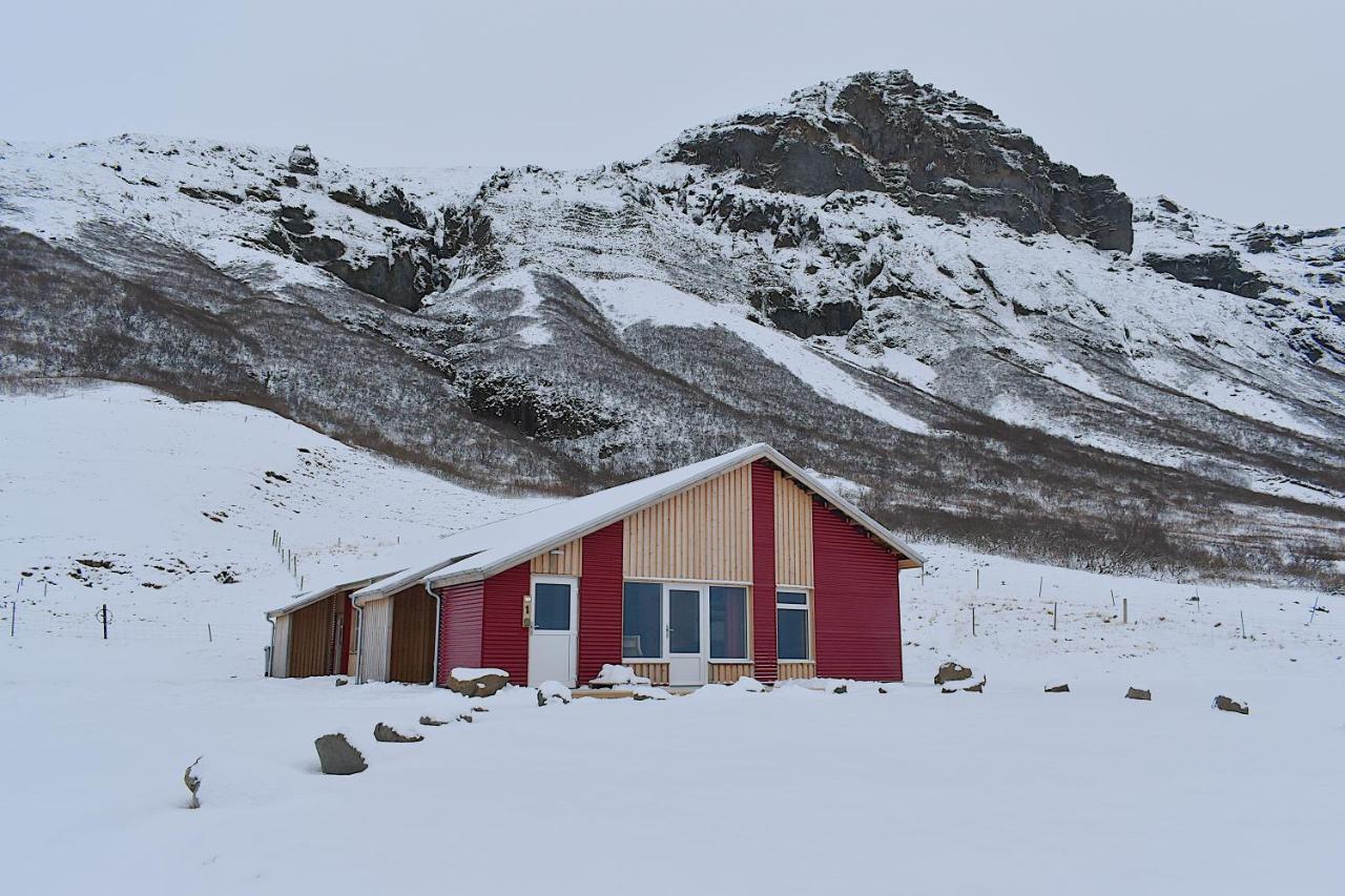 The Potato Storage 1