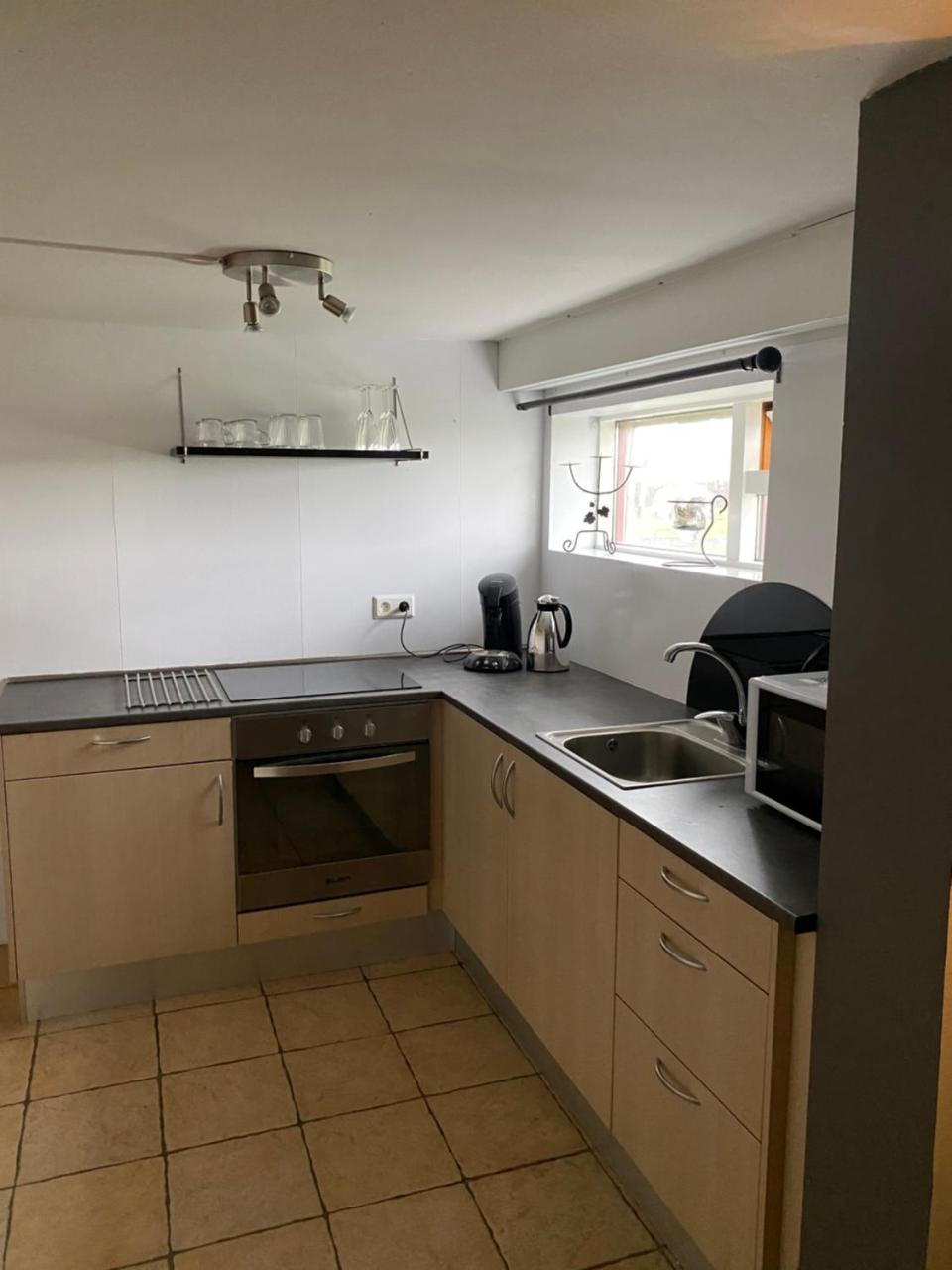 Byggdarhorn Studio Apartment 1