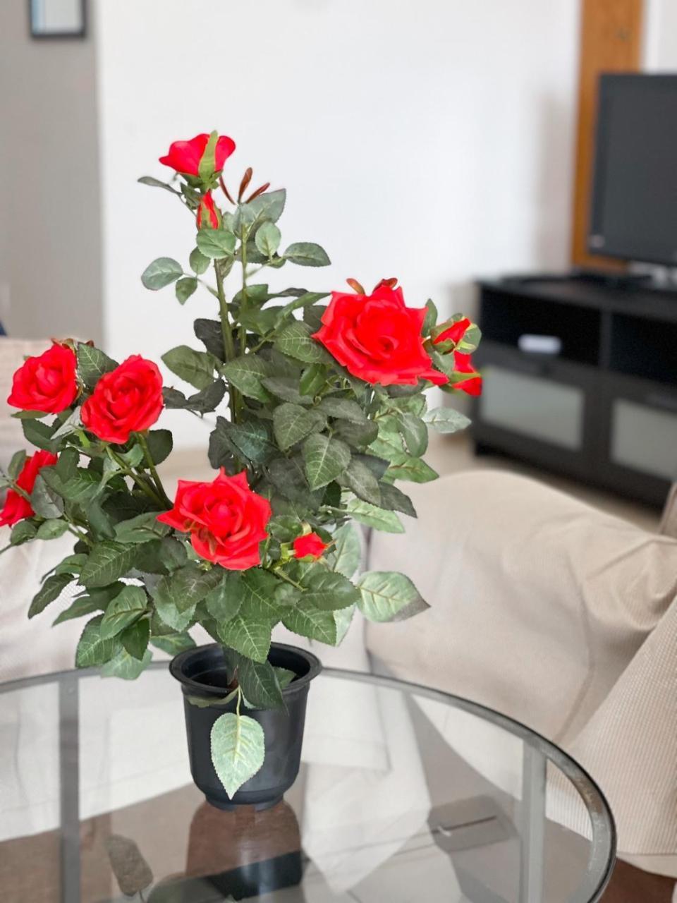 Apartment Capella, Larnaca 2